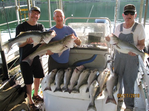 Nice Striped Bass